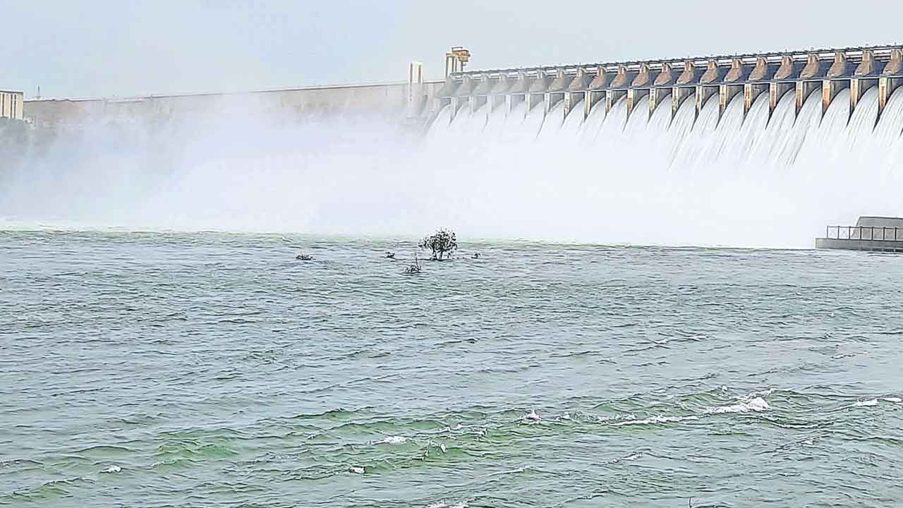 పంపకానికి 1005 టీఎంసీలు