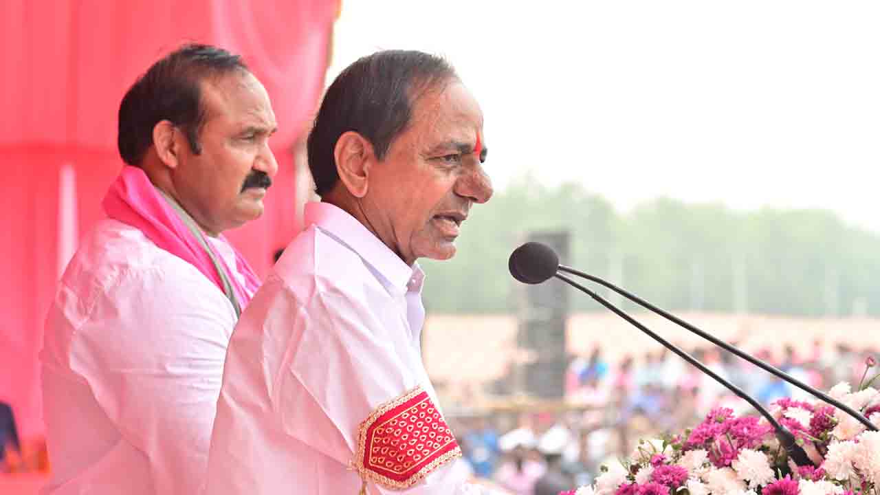 సరిహద్దు ప్రాంతం.. గులాబీమయం