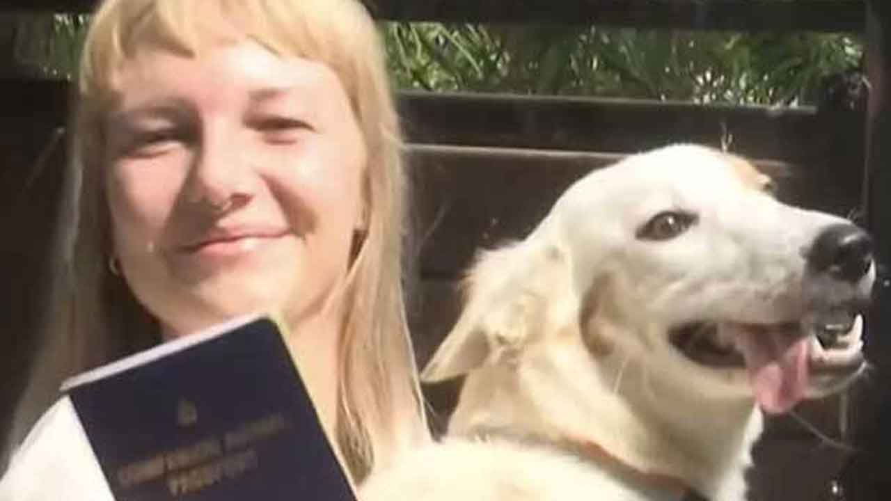 వీధి కుక్కకు వీసా