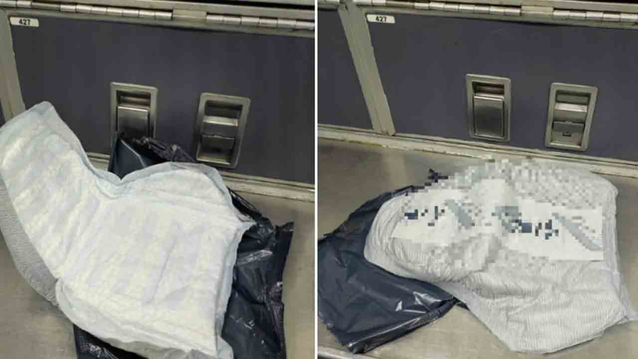 Emergency Landing | అడల్ట్‌ డైపర్‌ను బాంబుగా పొరబడిన ఫ్లైట్‌ సిబ్బంది.. గంట ప్రయాణం తర్వాత విమానం ఎమర్జెన్సీ ల్యాండింగ్‌