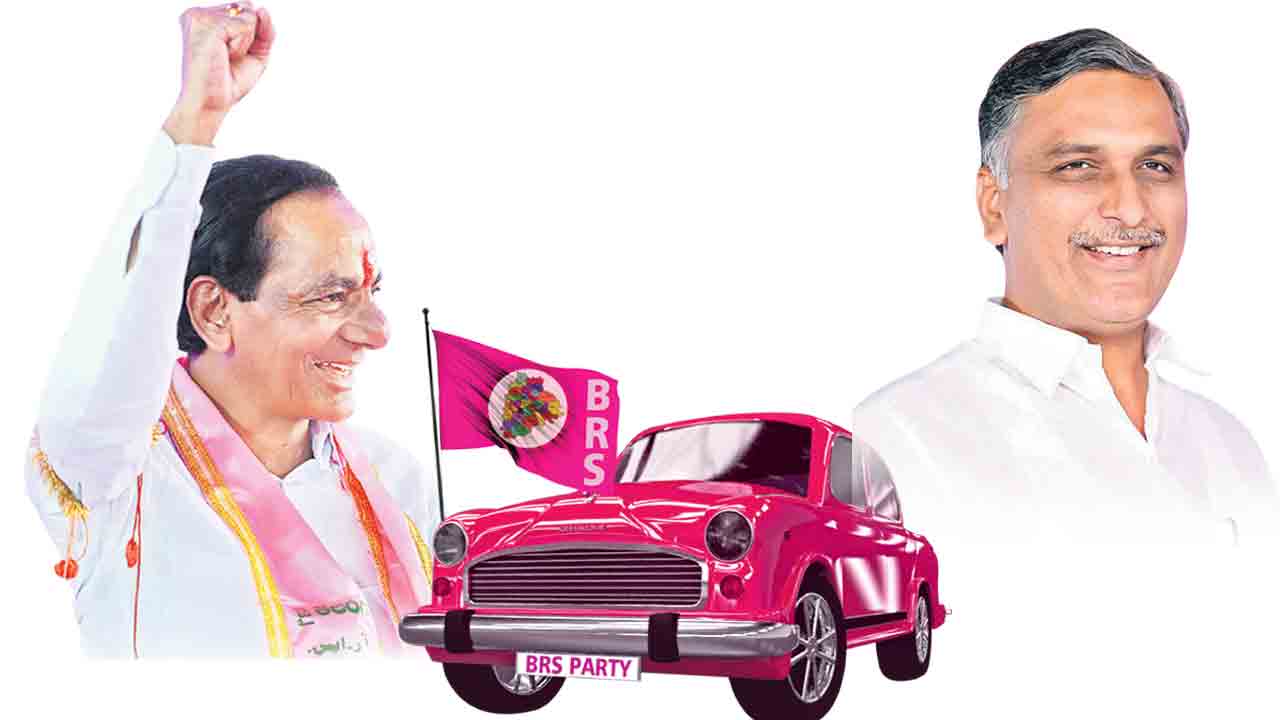 గులాబీ జోరు