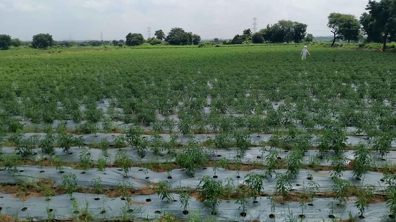 Khammam1