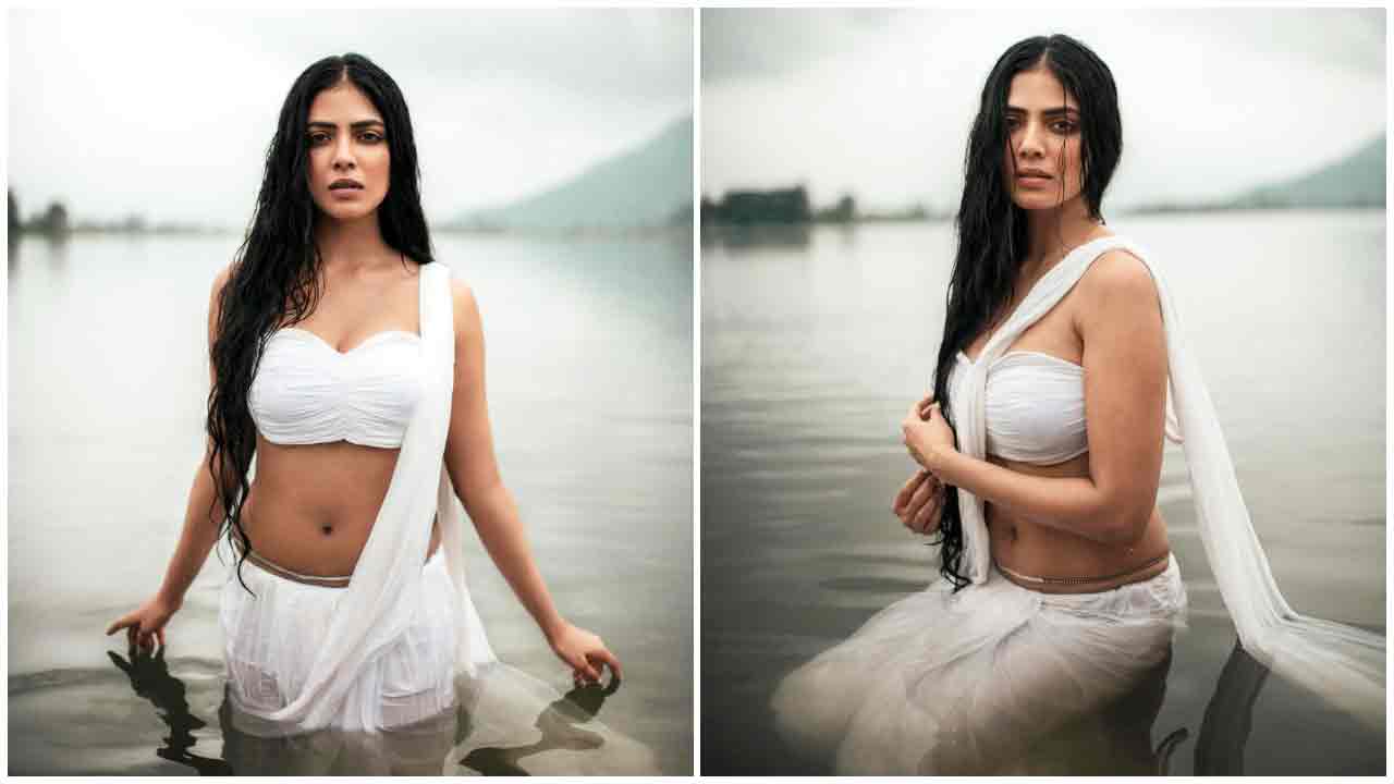 Malavika Mohanan | దివి నుంచి భువికి దిగివచ్చిన దేవకన్యలా మాళవిక మోహనన్..