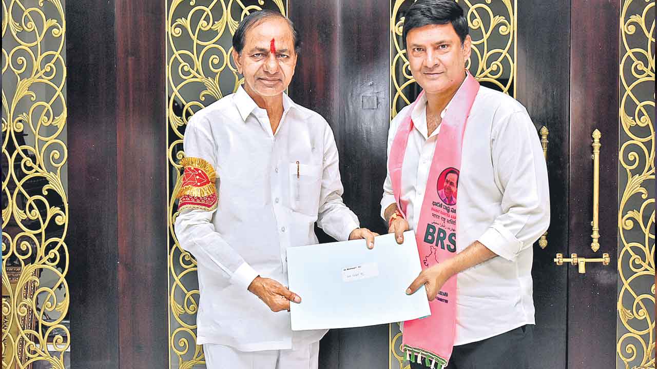 గులాబీ జెండా ఎగురవేస్తాం..