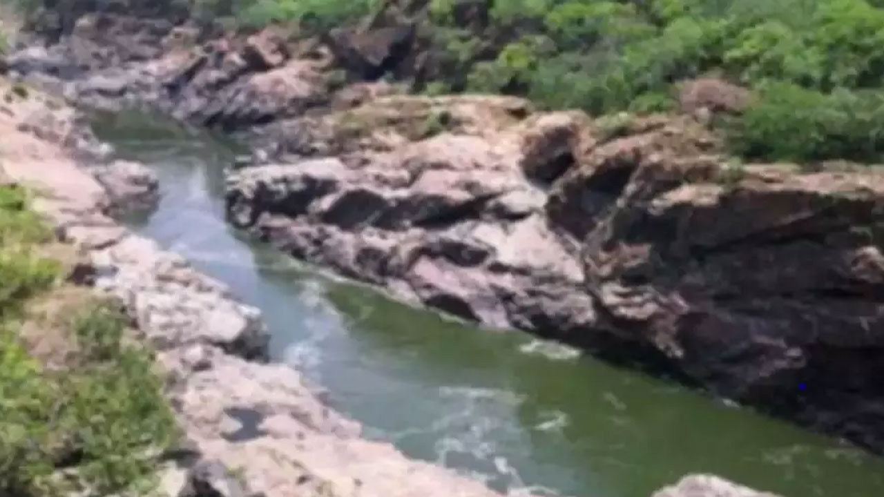 DK Shiva Kumar | కావేరి జలాల్ని విడుదల చేయలేం: డీకే శివకుమార్‌