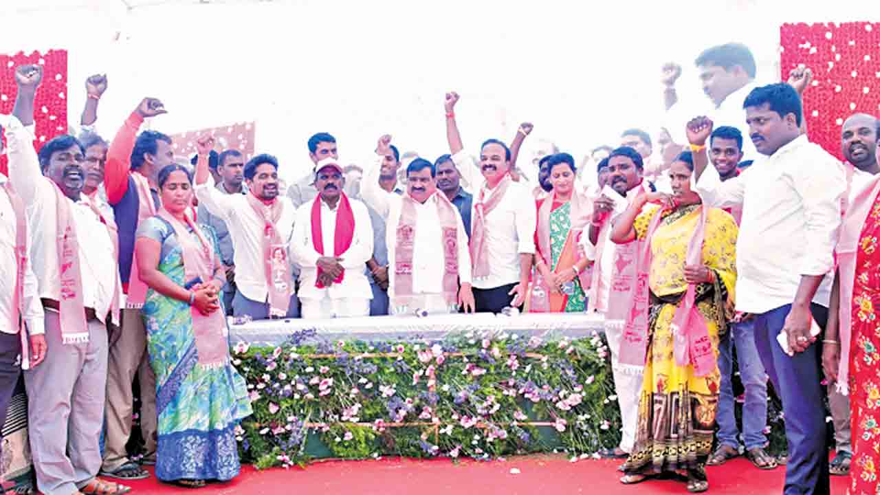 గులాబీ జోష్‌..