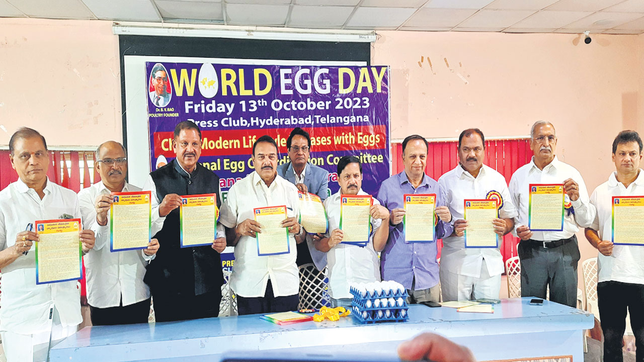 గుడ్డు.. వెరీగుడ్