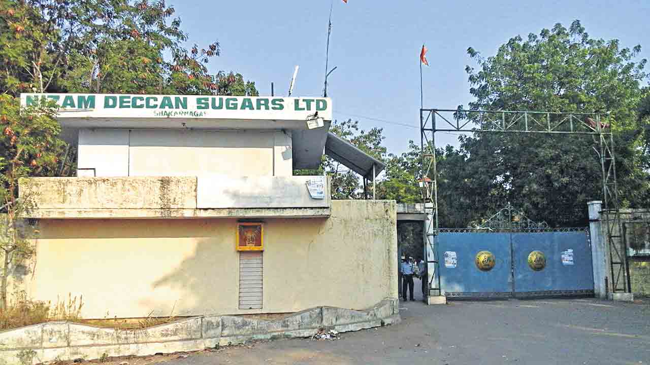 Nizam Sugars | కాంగ్రెస్‌, టీడీపీతోనే నిజాం షుగర్స్‌కు దుర్గతి.. ఫ్యాక్టరీ పూర్వ వైభవానికి కృషి చేస్తున్న తెలంగాణ ప్రభుత్వం