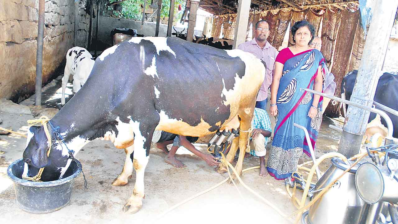 పైడి ఇంట… పాడి సిరులు