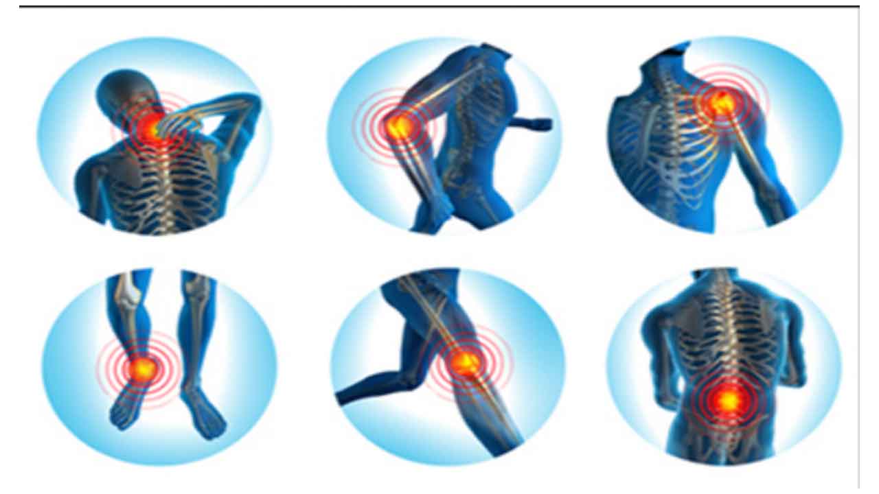 నేడు ఫిజియోథెరపిస్ట్‌ సర్టిఫికెట్‌ వెరిఫికేషన్‌