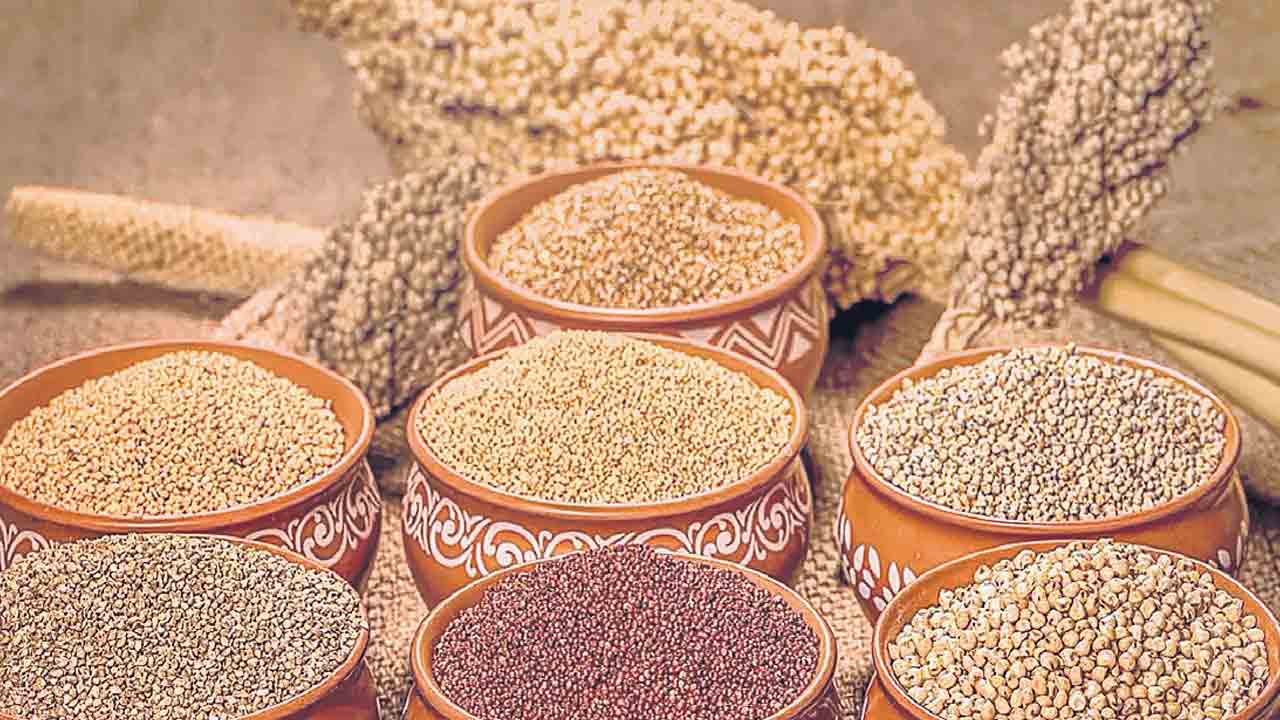 ప్యాకేజ్డ్‌ మిల్లెట్‌ పిండిపై జీఎస్టీ తగ్గింపు