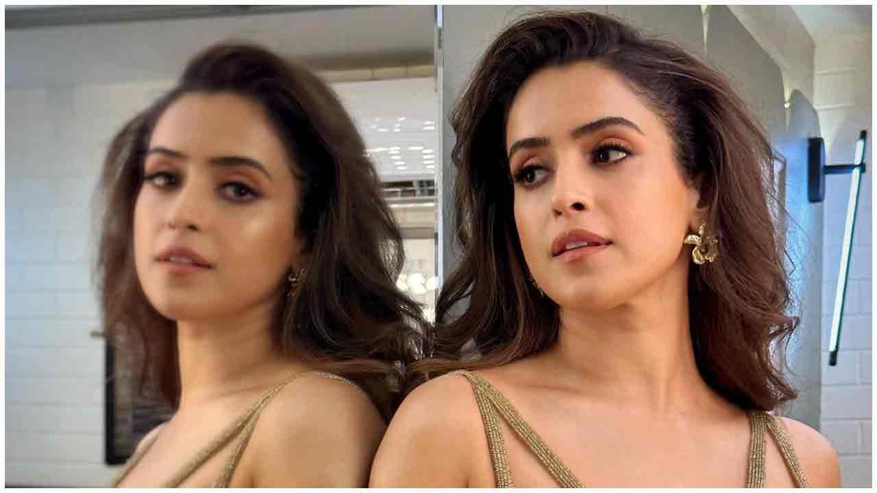 Sanya Malhotra | మెరిసే డ్రెస్‌లో సన్యా మల్హోత్రా మెరుపులు..