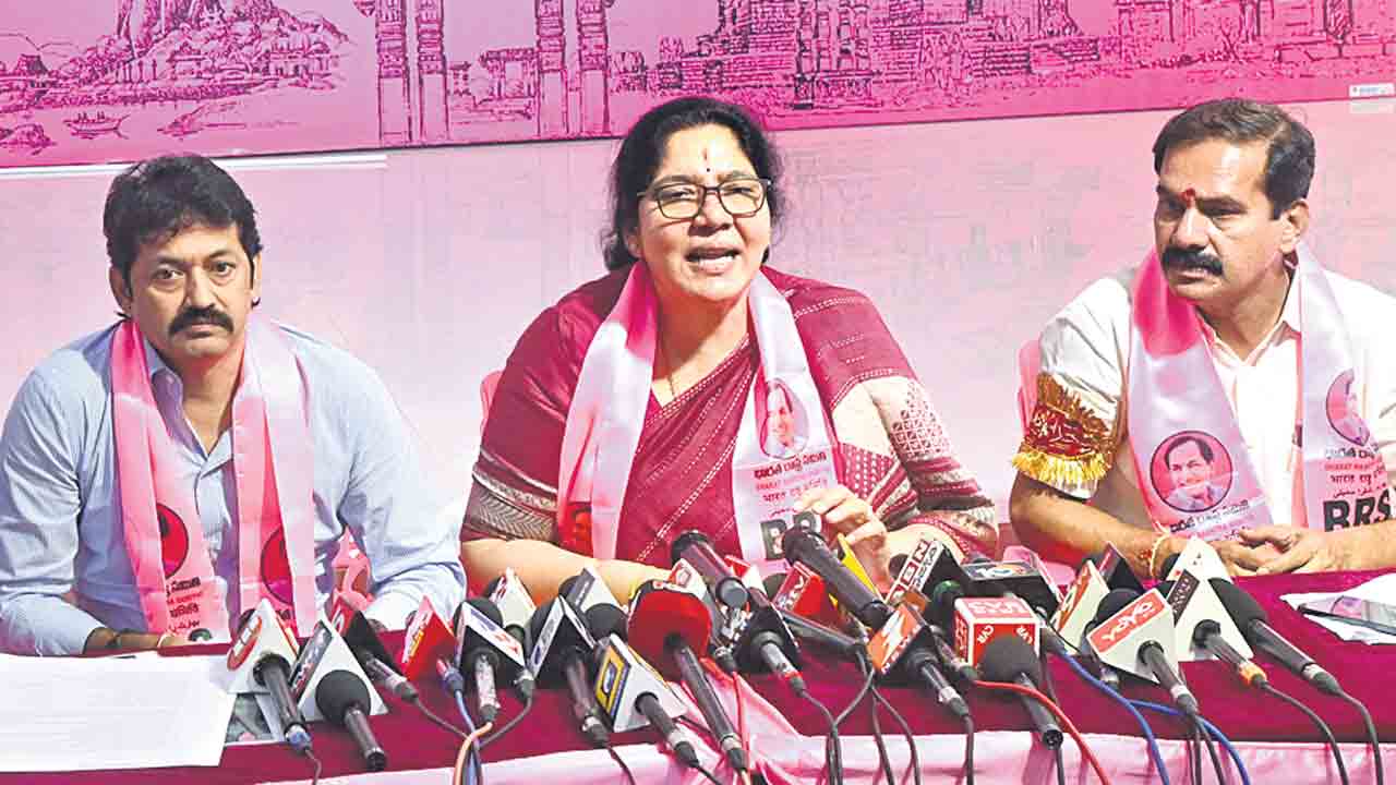 రాహుల్‌ చెప్పినవన్నీ అబద్ధాలే