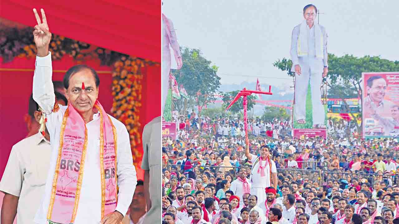 గులాబీ జోష్‌