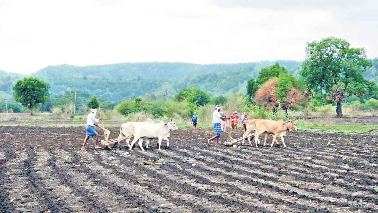 గిరిజనేతరులకు ‘పోడు’ పట్టాలు