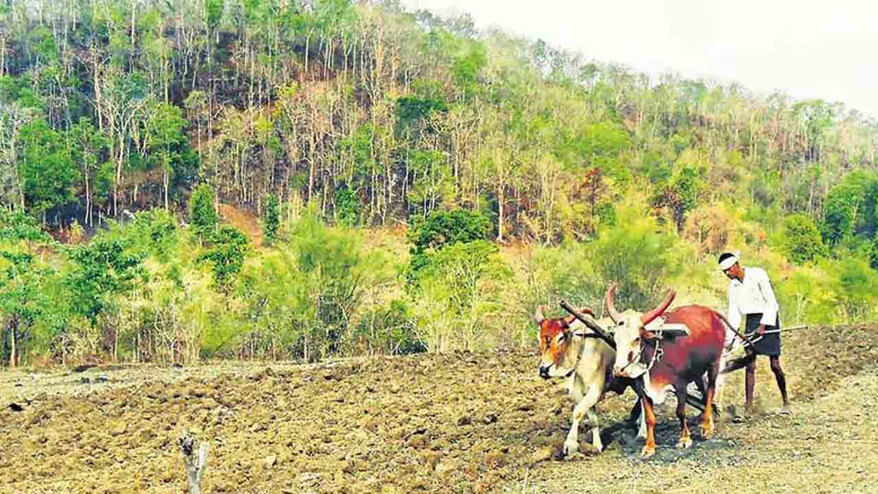 అసైన్డ్