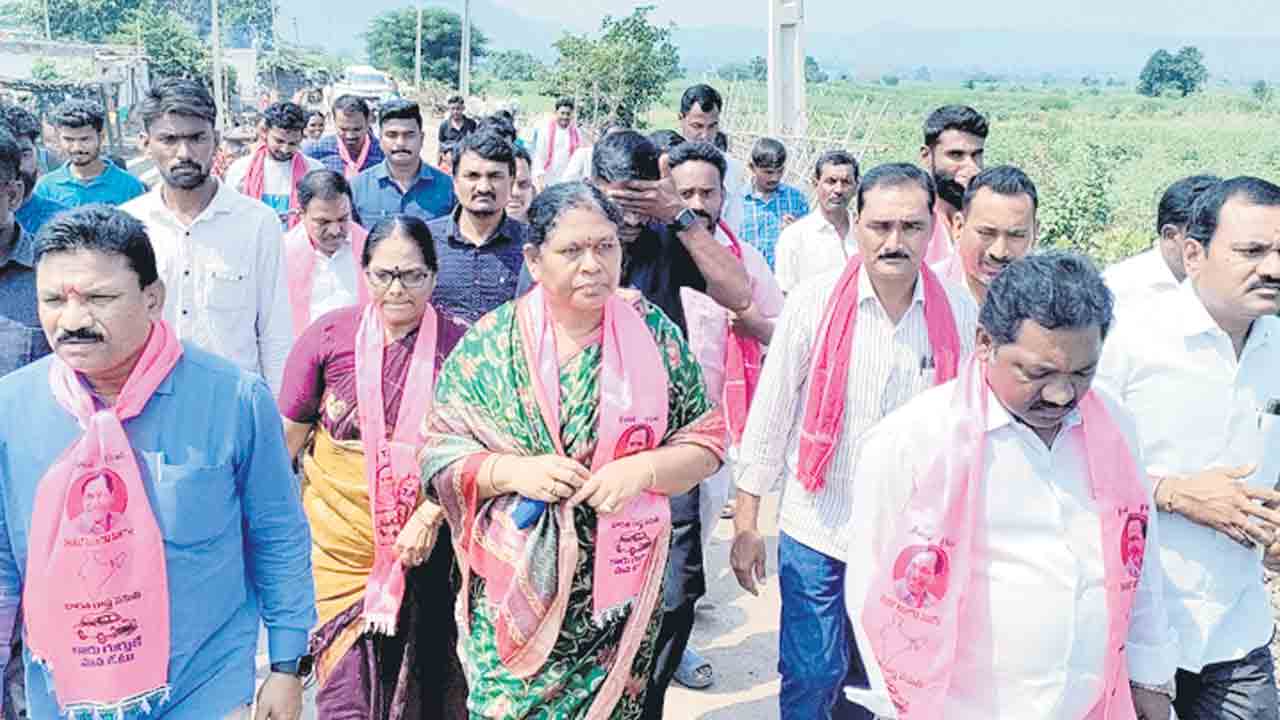 అడుగడుగునా నీరాజనం