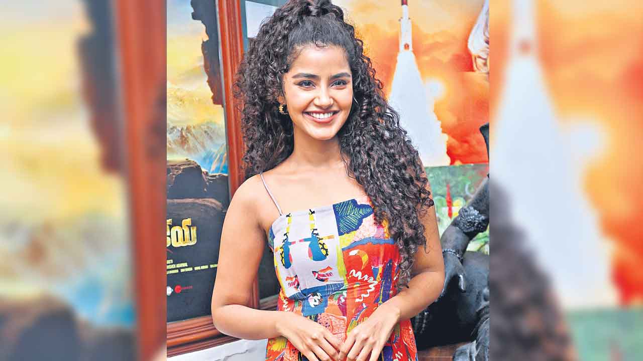 అవన్నీ అబద్ధాలే..!