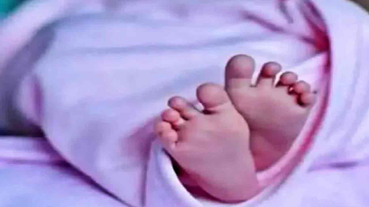 Jammu Kashmir | ఒకే కాన్సులో నలుగురికి జన్మ.. గంటల వ్యవధిలోనే శిశువులందరూ మృతి