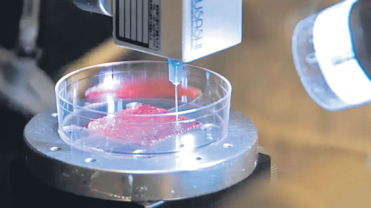 బయోప్రింటెడ్‌ చర్మం!