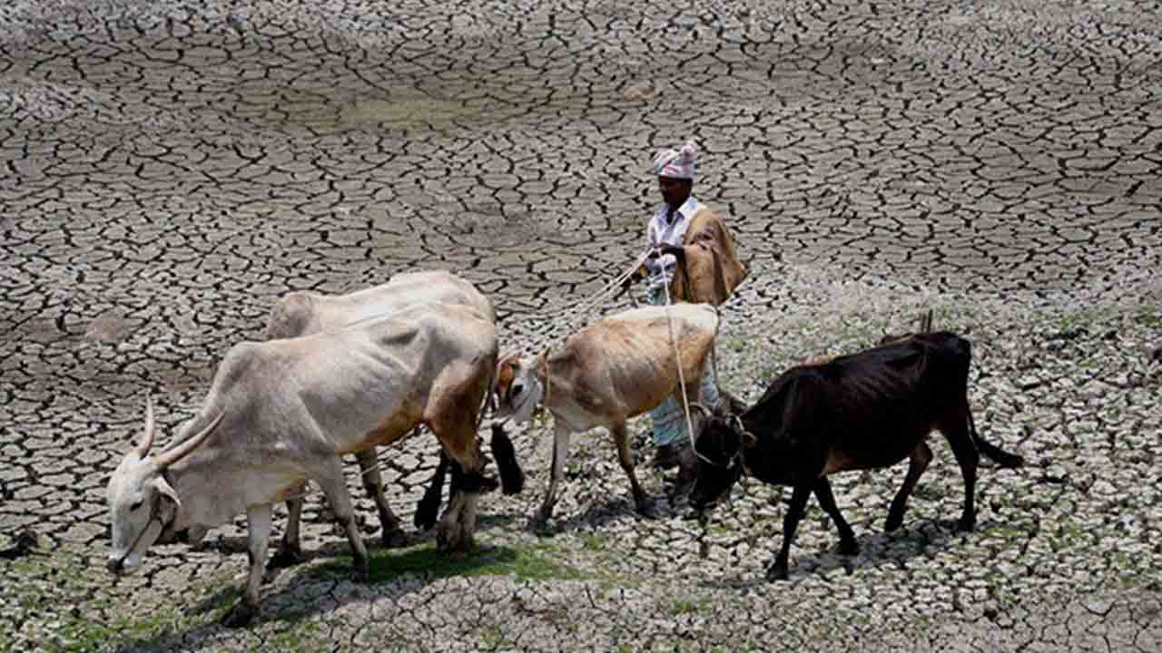 బుందేల్‌ఖండ్‌ జై కొట్టేదెవరికో?