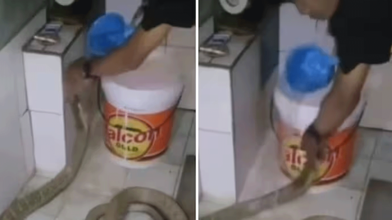 viral video : పాముకు స్నానం చేయించాడు..ఆపై ఏమైందంటే..!