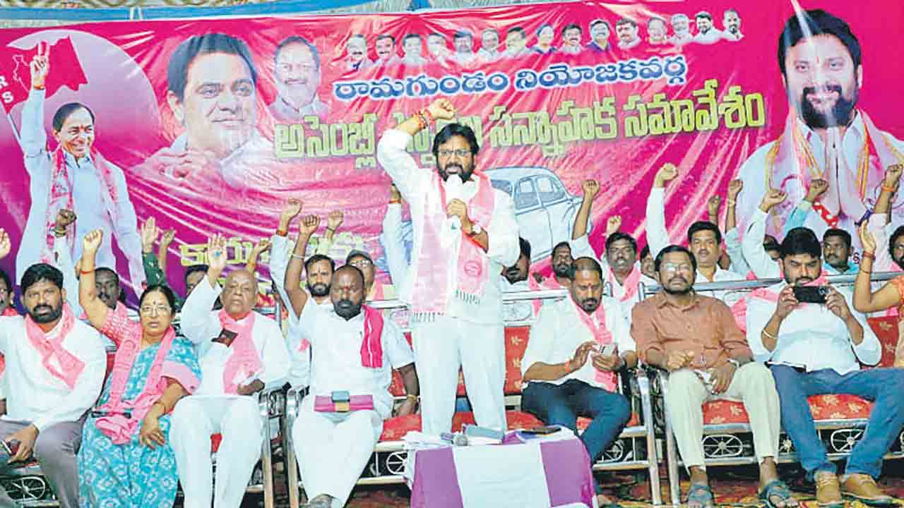 పార్టీ గెలుపునకు కృషి చేయండి