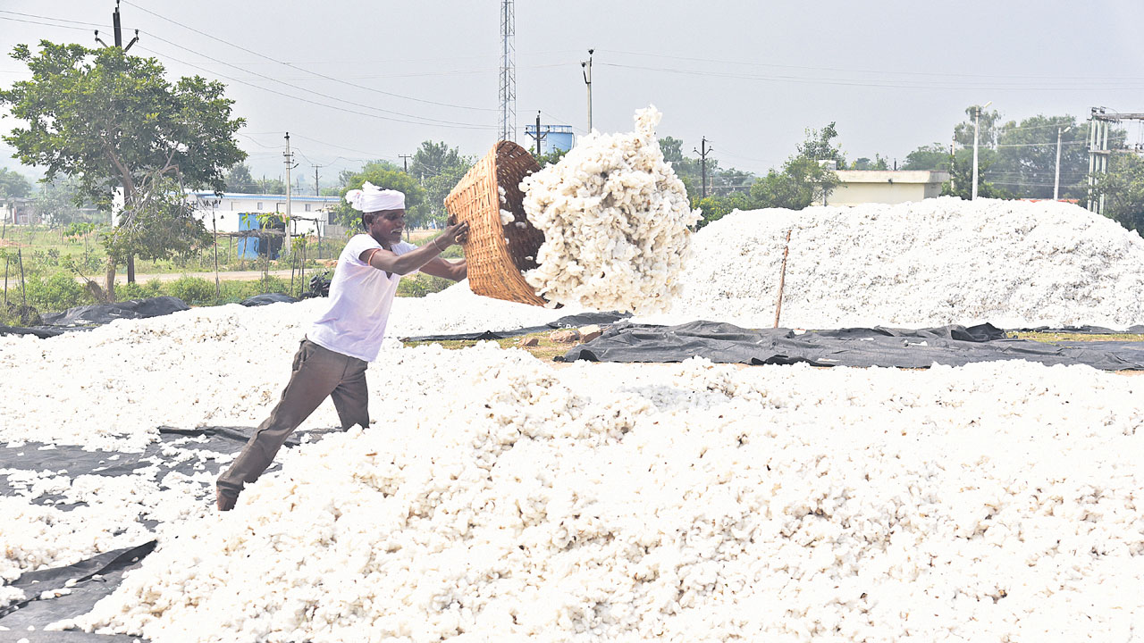 పకడ్బందీగా పత్తి కొనుగోళ్లు
