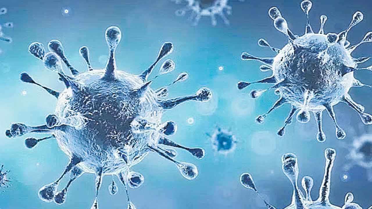 INSACOG | పది రాష్ట్రాలకు పాకిన జేఎన్‌.1 వేరియంట్‌..! 196కి పెరిగిన కేసులు..!