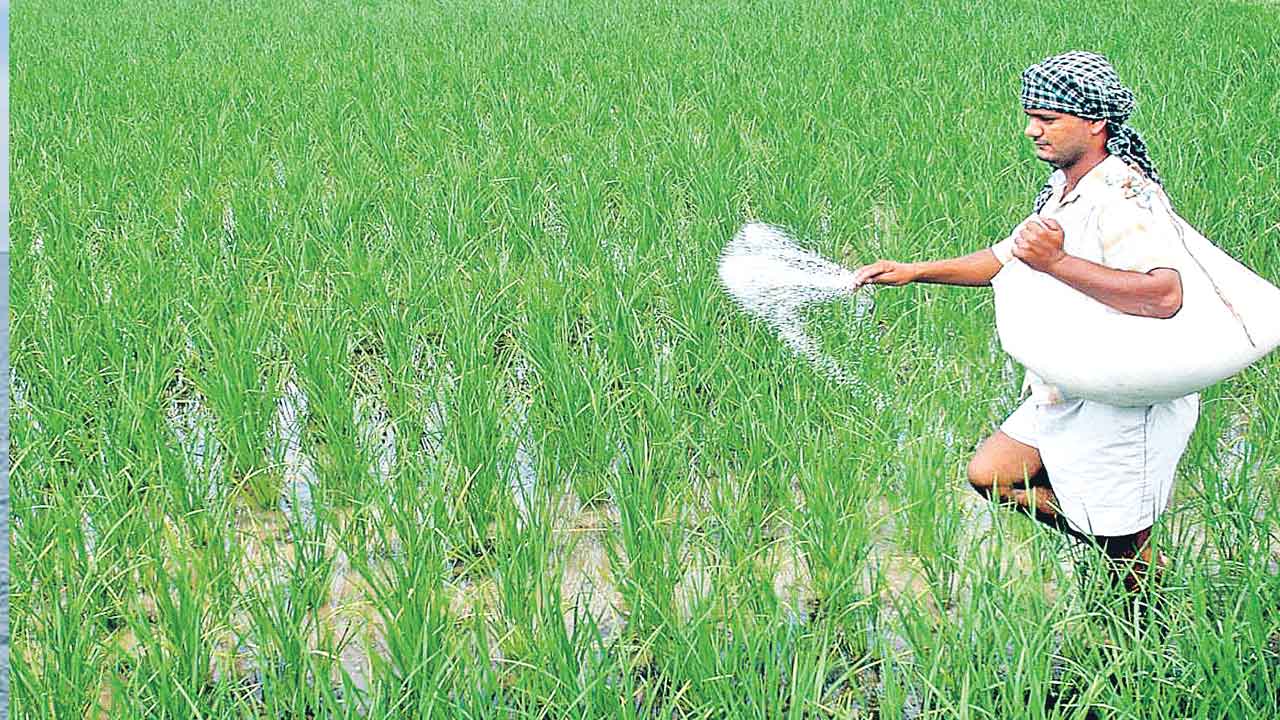 PM Pranam | ఎరువుల సబ్సిడీకి కేంద్రం కోత.. యాసంగి సీజన్‌కు కిందటిసారితో పోలిస్తే 57 శాతం తగ్గిన రాయితీ