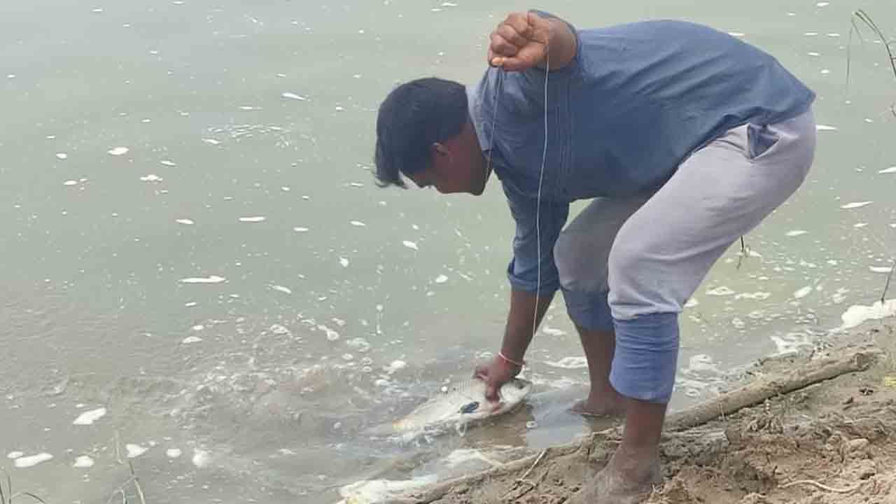 చలివాగులో చేపల వేట..!