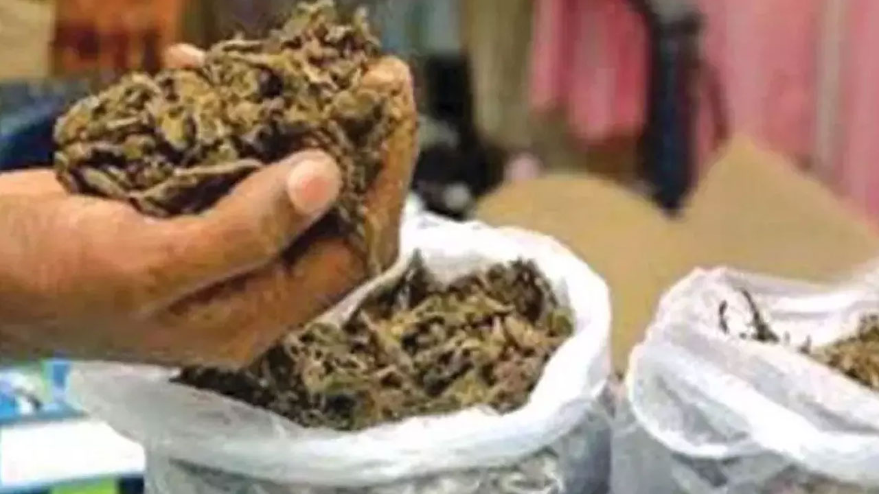 ఒడిశా టు ఓల్డ్‌సిటీ గంజాయి స్మగ్లింగ్‌