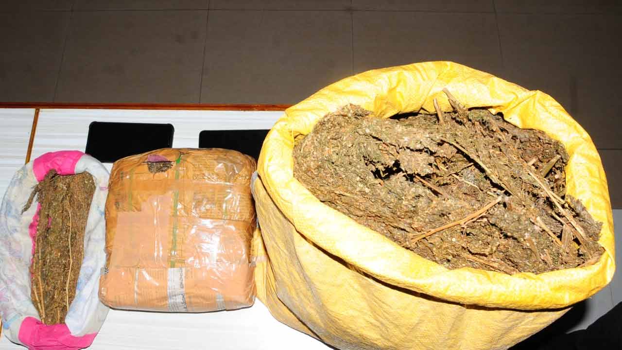 Ganja Bpl