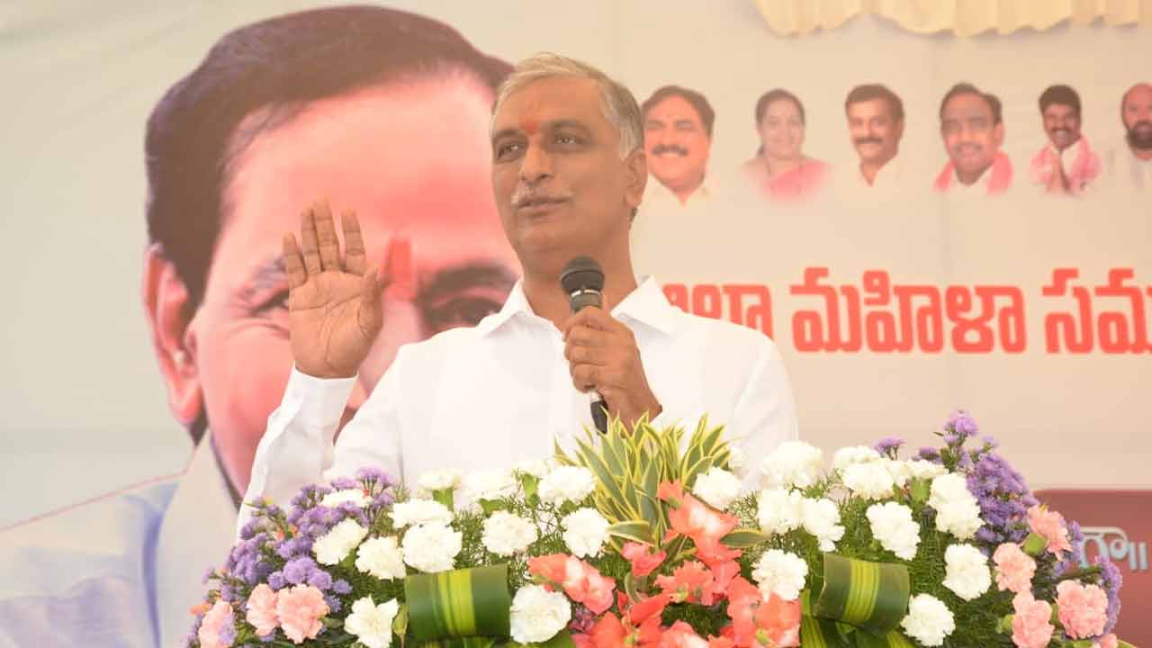 Harish Rao | గృహహింస బాధితుల కోసం భరోసా, సఖీ కేంద్రాలు : మంత్రి హరీశ్రావు