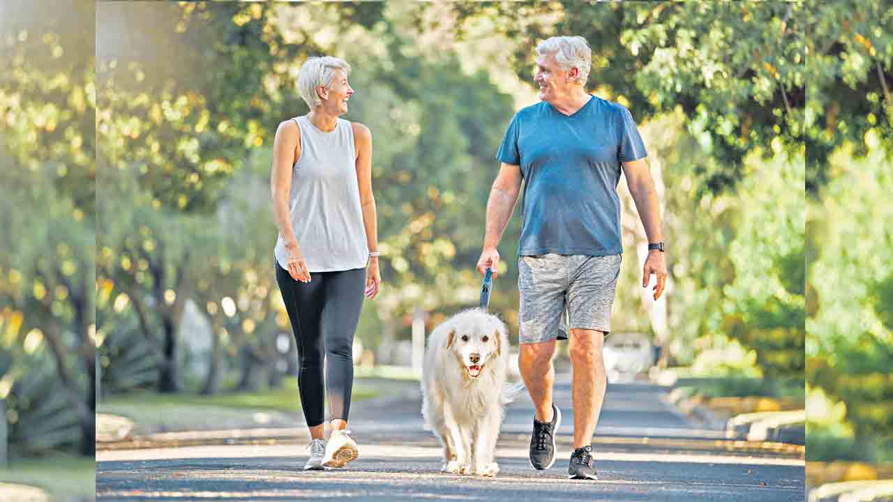 హెల్త్‌ బిట్స్‌