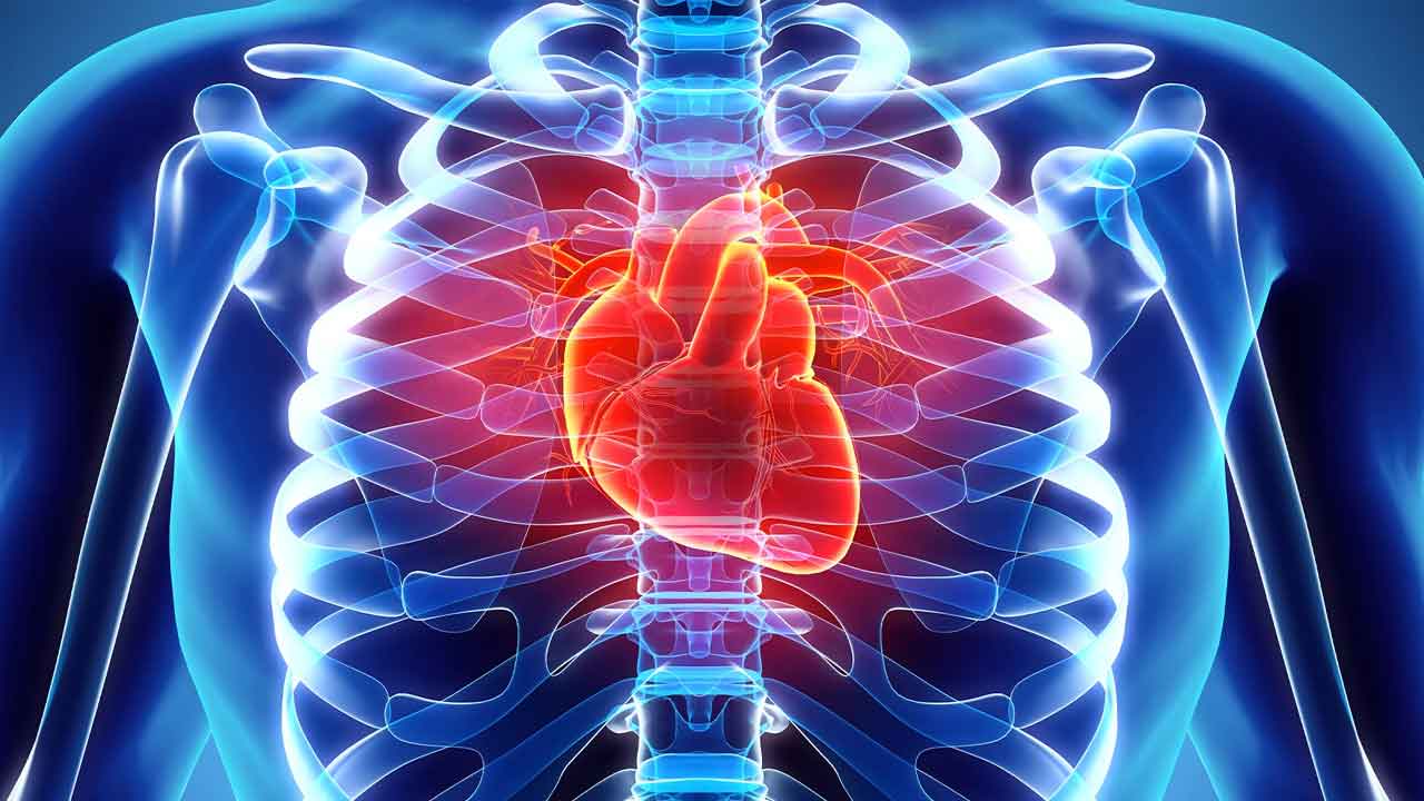 Heart Attack | ఎక్కువసేపు కుర్చీకి అతుక్కుపోయి పనిచేస్తున్నారా? గుండెజబ్బుల బారిన పడొద్దంటే ఇలా చేయాల్సిందేనట!