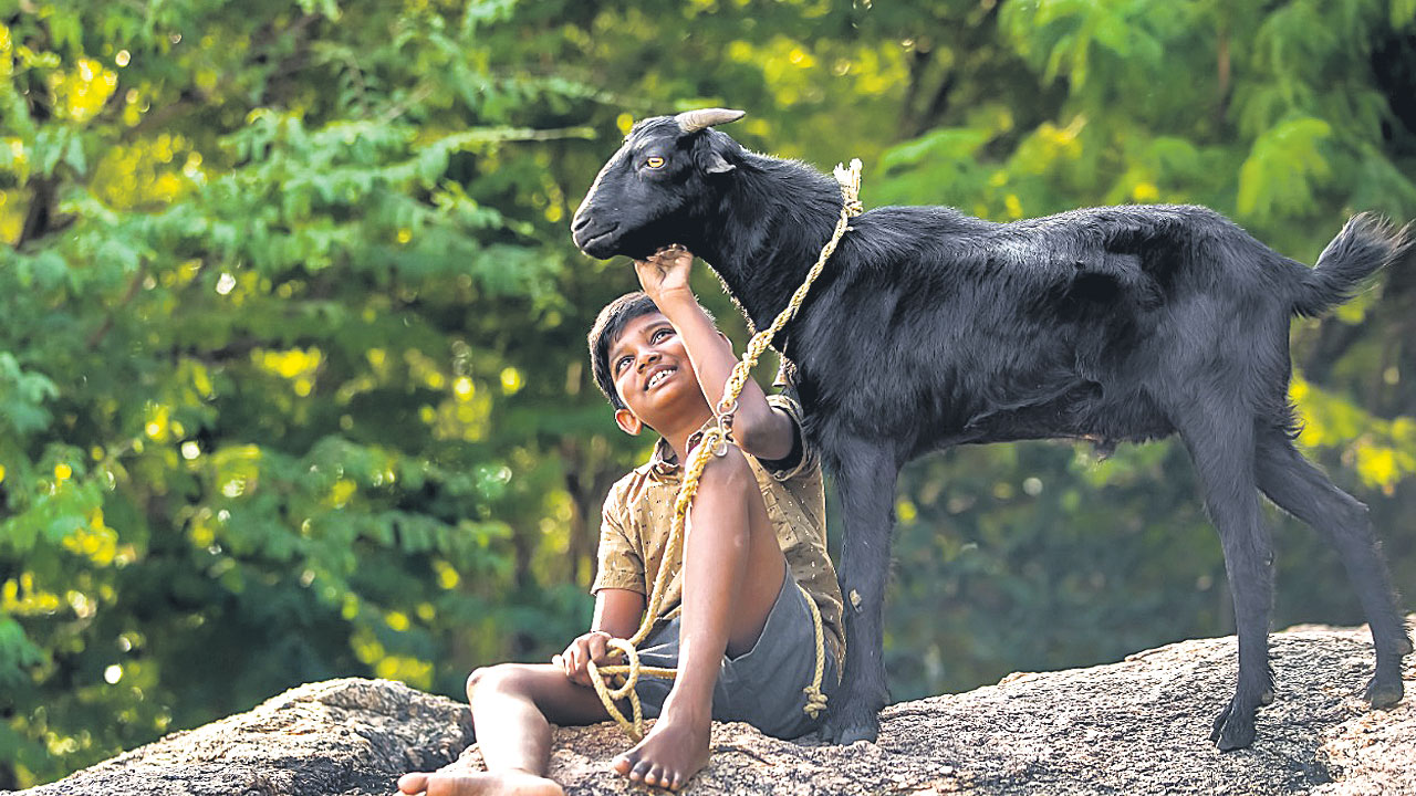 kida | పల్లెటూరి దీపావళి