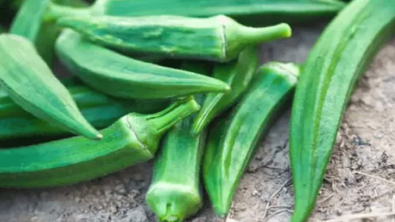 Health Tips | ఈ వండ‌ర్ వెజిట‌బుల్‌తో అద్భుత ఆరోగ్యం సొంతం