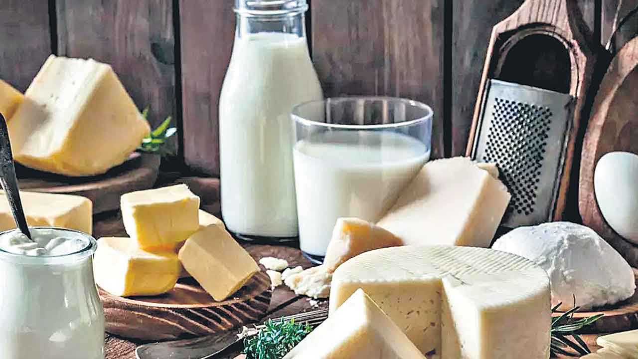 Protein Binders | పాలు, పాల ఉత్పత్తుల్లో ప్రొటీన్‌ బైండర్స్‌ వాడొద్దు: ఎఫ్‌ఎస్‌ఎస్‌ఏఐ