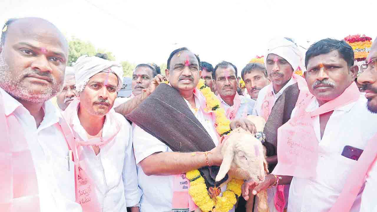 కారు.. ప్రచార జోరు