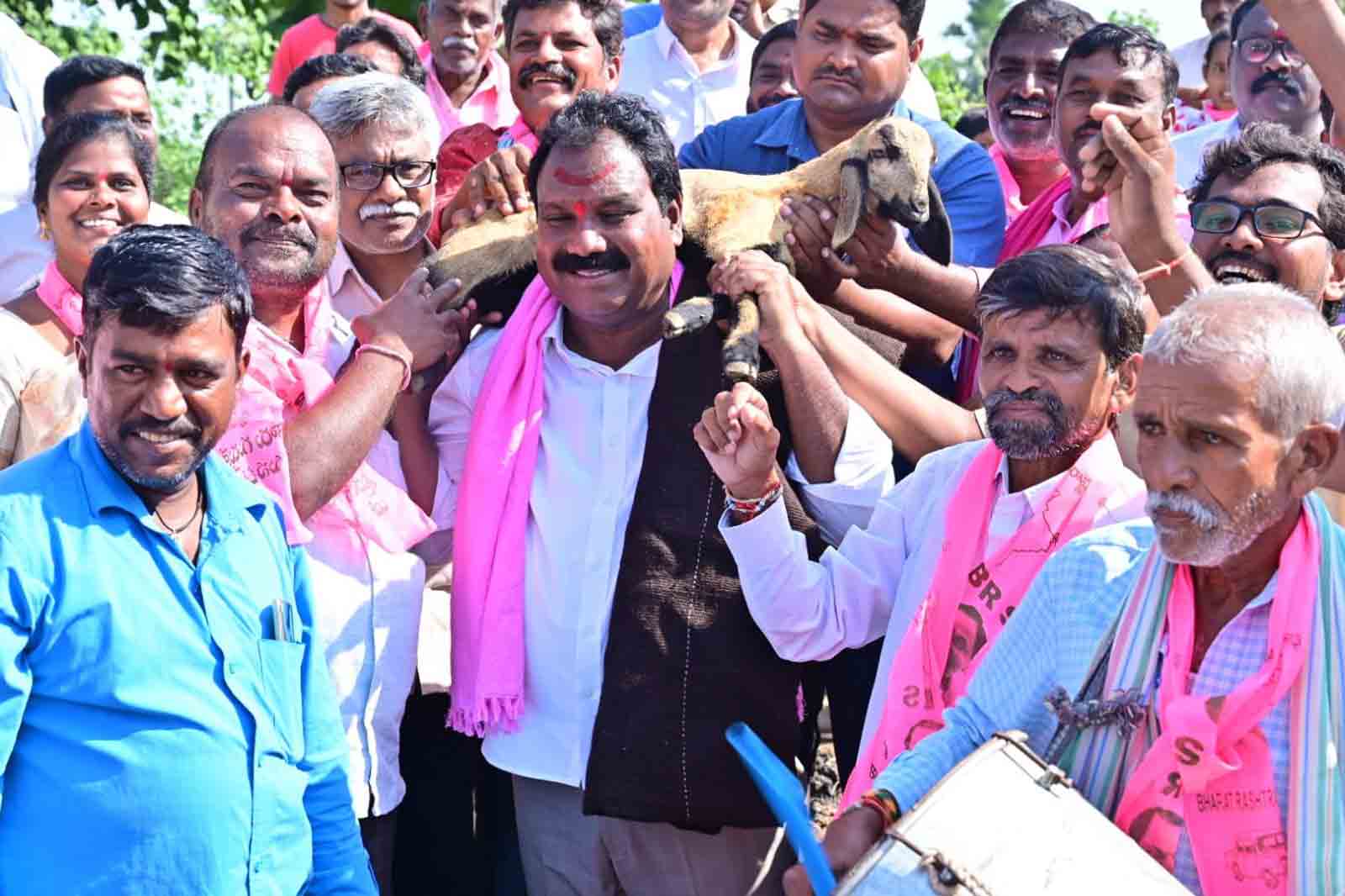 నియోజకవర్గ అభివృద్ధికి అనునిత్యం కృషి