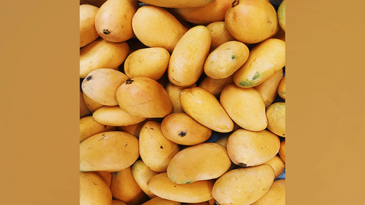 Mango Exports | అమెరికాకు మామిడి ఎగుమతుల్లో అరుదైన ఫీట్‌