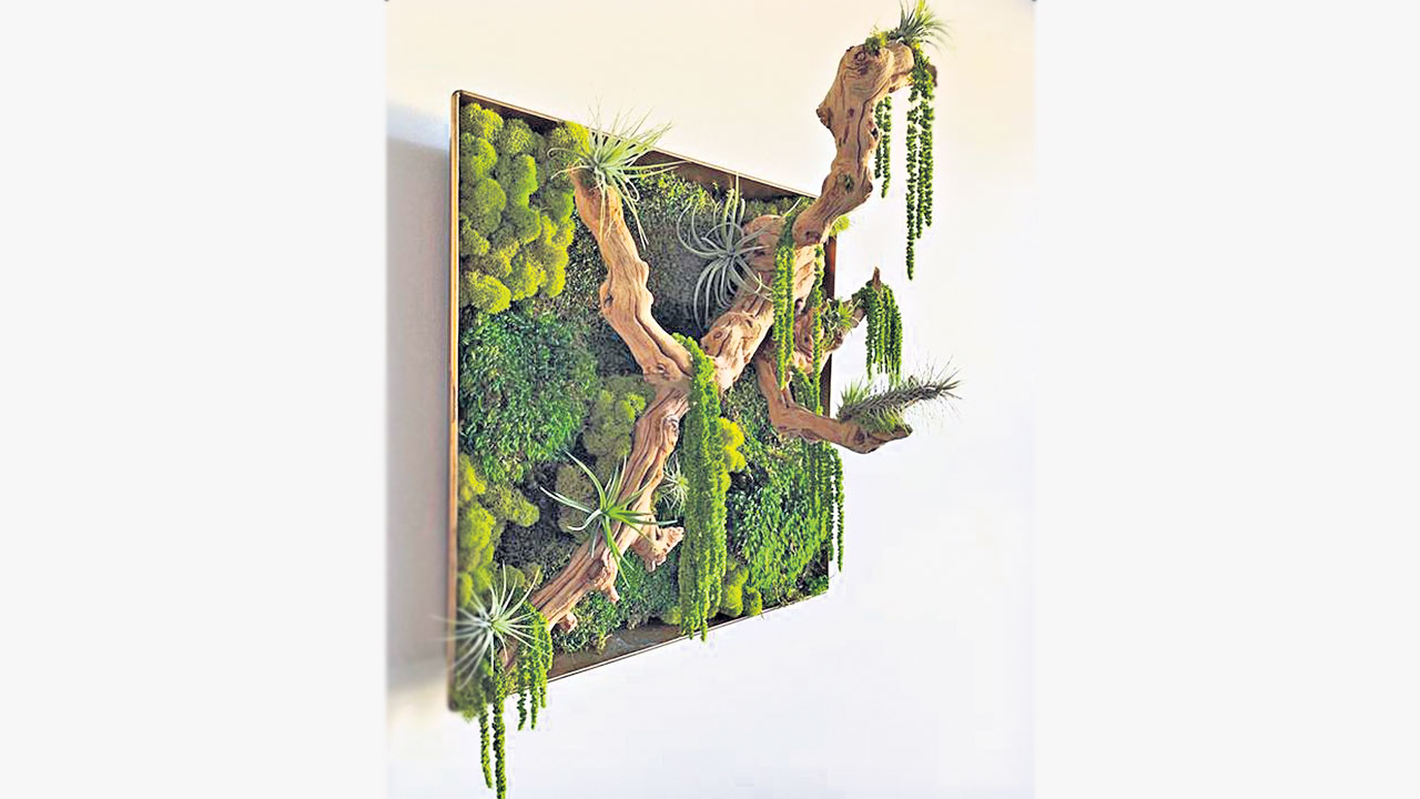 moss wall art | గోడలపై.. ఘోరారణ్యం!