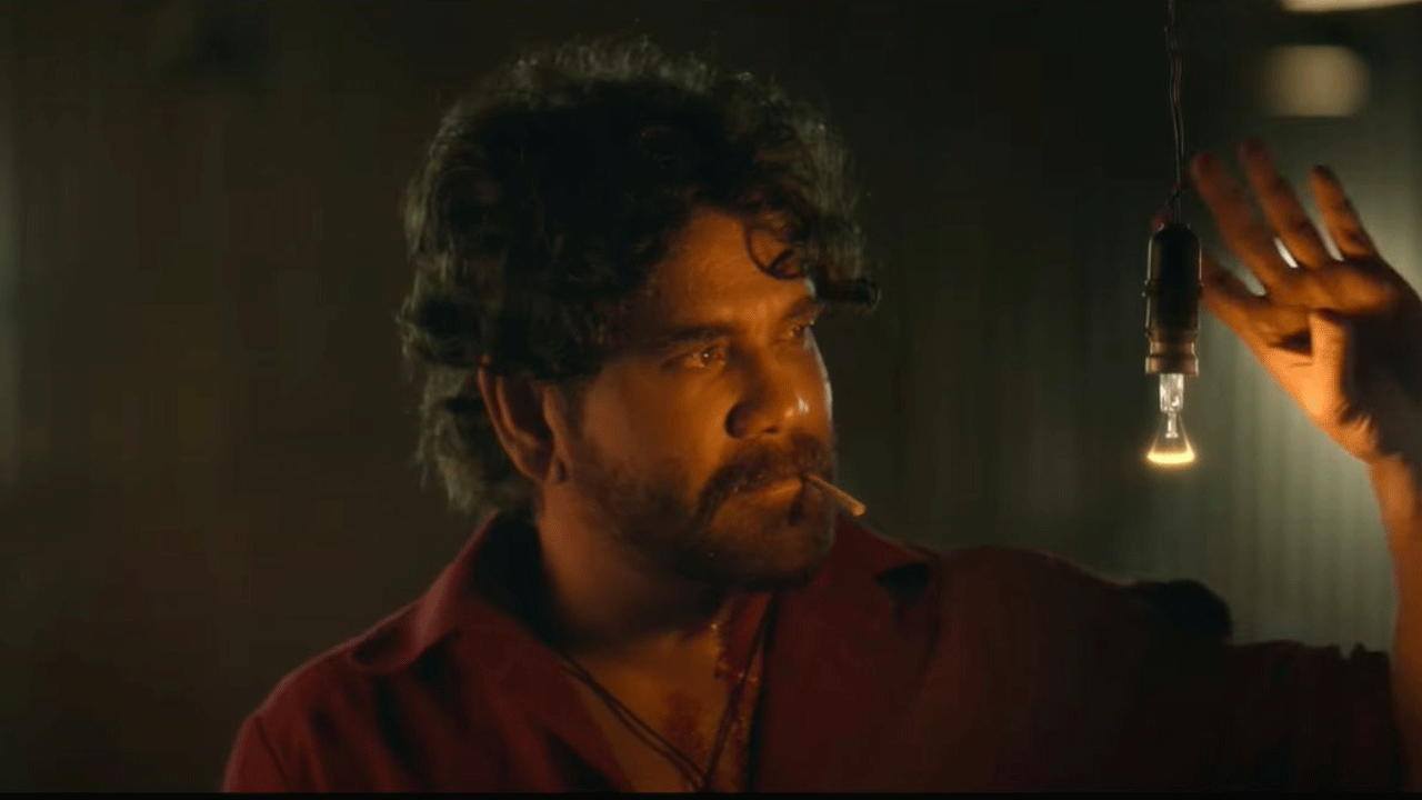Nagarjuna | సంక్రాంతి ఫార్ములాను నమ్ముకున్న నాగార్జున.. ఎట్టి పరిస్థితుల్లో పండగకే రావాలని ఫిక్స్‌ అయ్యాడట..!