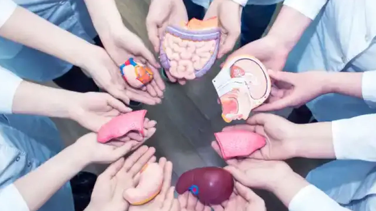 అవయవ దానంలో మహిళలే ముందంజ