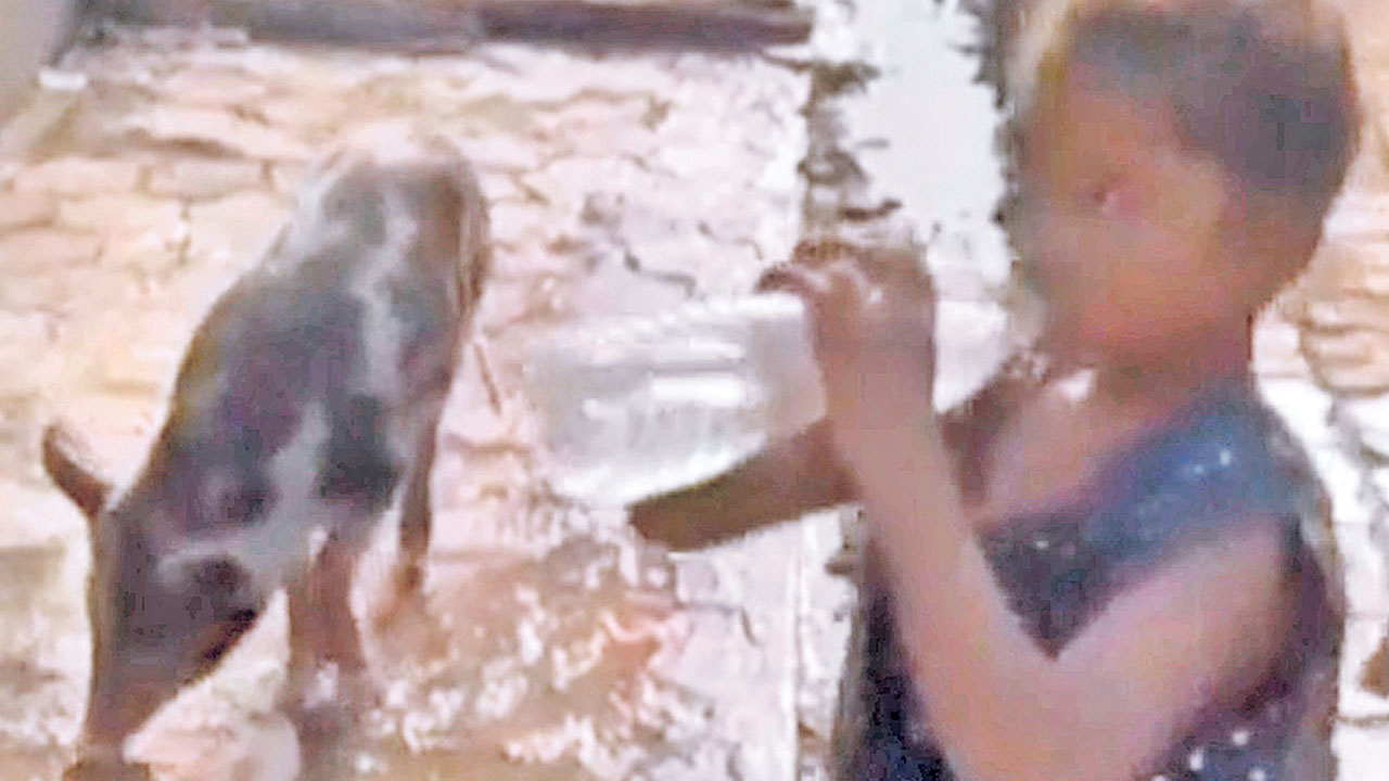 Maharashtra |  మహారాష్ట్రలో కుప్పకూలిన ఆరోగ్య వ్యవస్థ.. ప్రభుత్వ దవాఖానల్లో ఆగని రోగుల మరణాలు