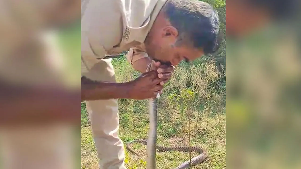 Snake CPR: పాముకు సీపీఆర్‌ చేసిన కానిస్టేబుల్‌.. వీడియో