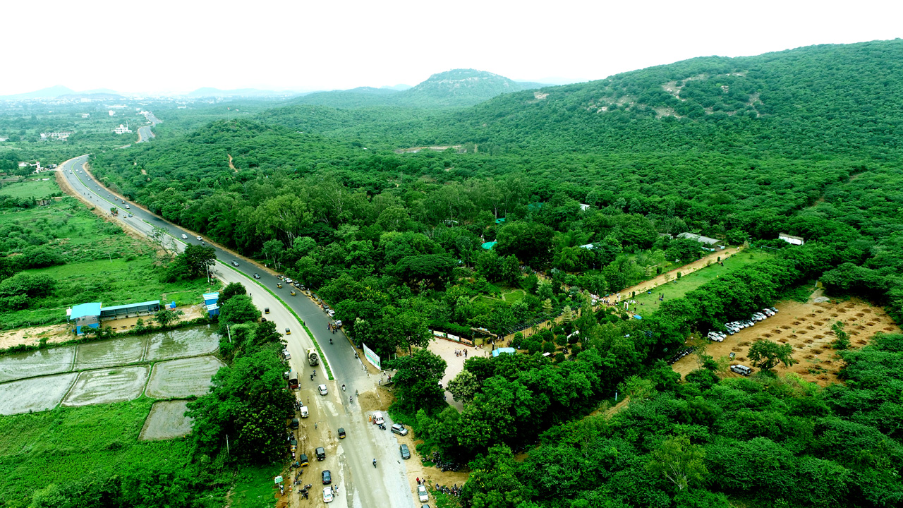 Telangana | అమెజాన్‌  కన్నా తెలంగాణ వనాలే మిన్న.. తొమ్మిదేండ్లలో సీఎం కేసీఆర్‌ పనితీరుకు నిదర్శనమివీ!