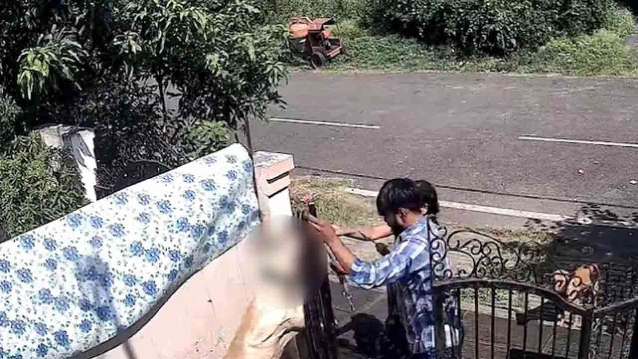 Watch: కుక్కను గేట్‌కు వేలాడదీసి దారుణంగా చంపిన డాగ్‌ ట్రైనర్స్‌.. వీడియో వైరల్‌