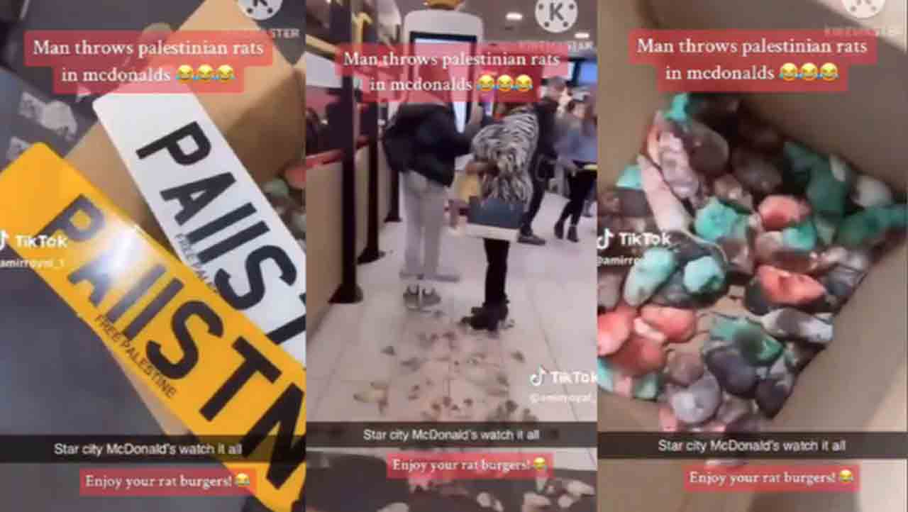 McDonalds Store | ఇజ్రాయెల్‌కు మ‌ద్దుతు ప‌లికార‌నే కోపంతో.. మెక్‌డొనాల్డ్స్ స్టోర్‌లో ఎలుక‌ల్ని వదిలిన‌ పాల‌స్తీనా వ్య‌క్తి